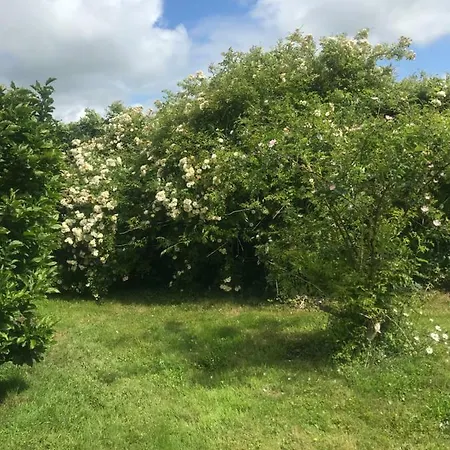 Les D'hotes De Gasthuis Rânes