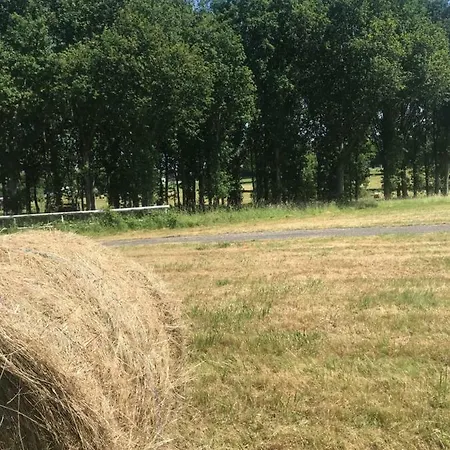 Les D'hotes De * Rânes