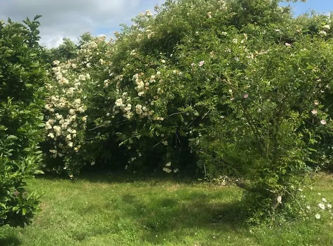 Les D'hotes De Vendégház Rânes