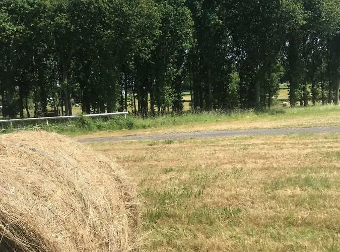 Les D'hotes De * Rânes